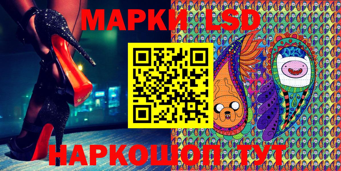 Псилоцибиновые грибы Зеленогорск