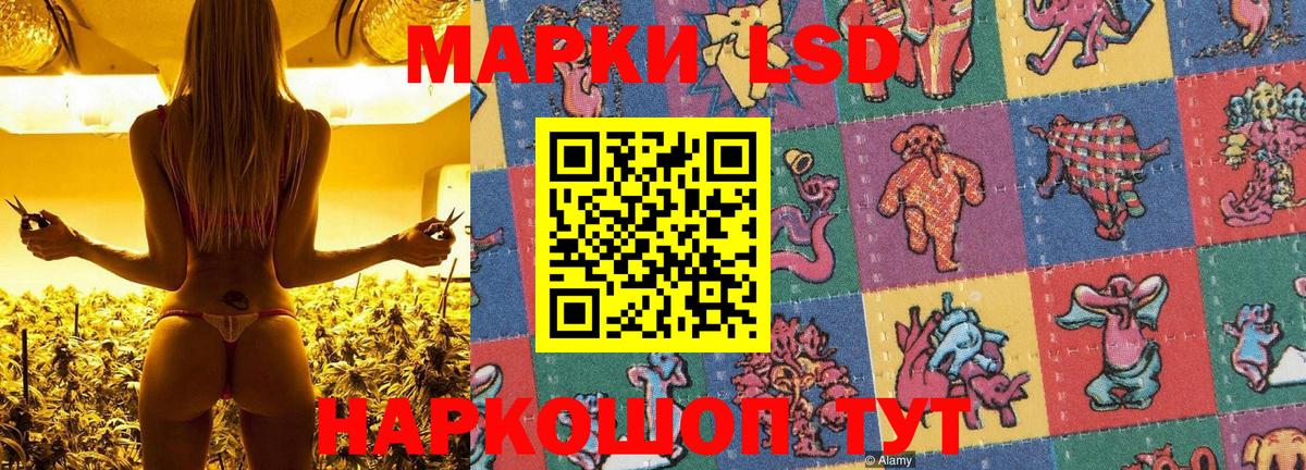 Марки N-bome  Марки NBOMe 1500мкг  Вход с VPN  Марки NBOMe 1500мкг  Зеленогорск 